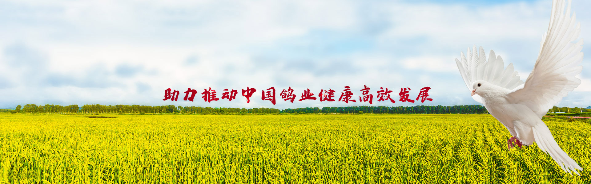 青州鼎昌灌裝機(jī)械有限公司